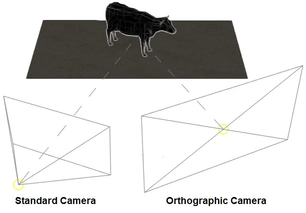 Camera standard vs orthographic