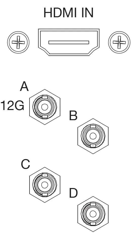 SS Diagram